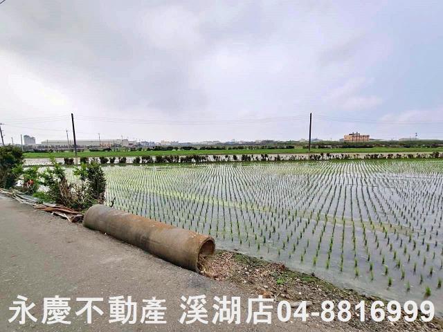 彰化福興農地-4