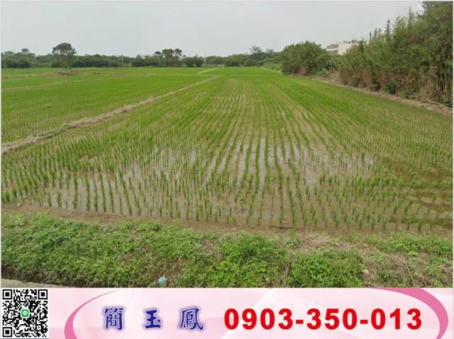 觀音農地-0