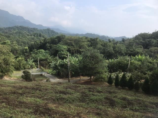 台中市東勢區軟埤坑休閒農地