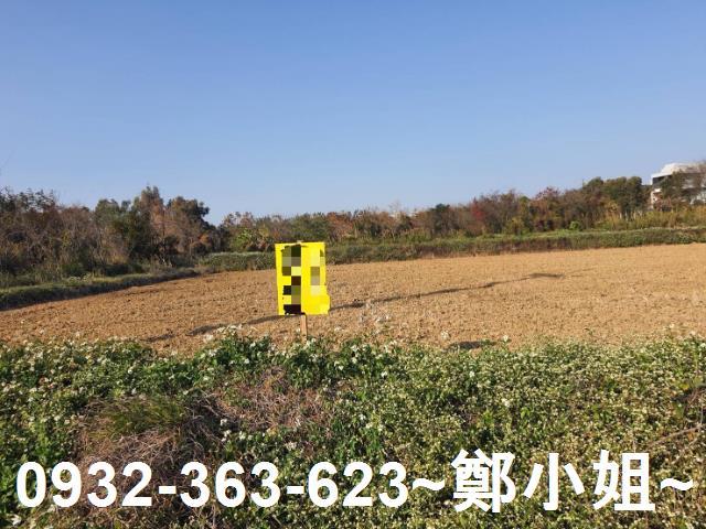 楊梅農地-2