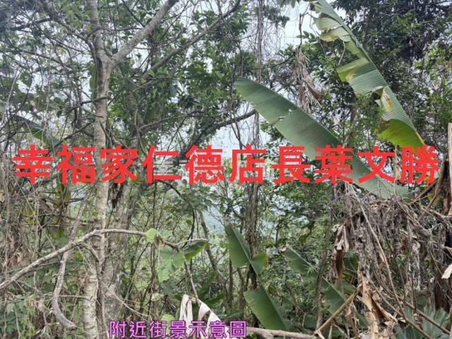 台南白河農地-9