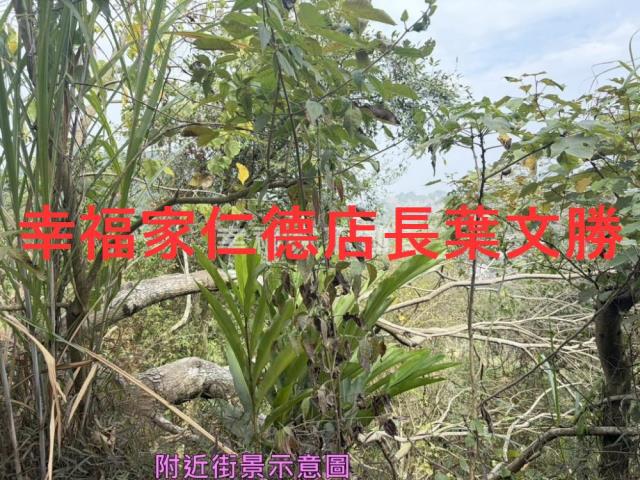 台南白河農地-13