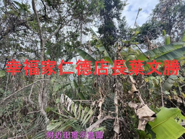 台南白河農地-0