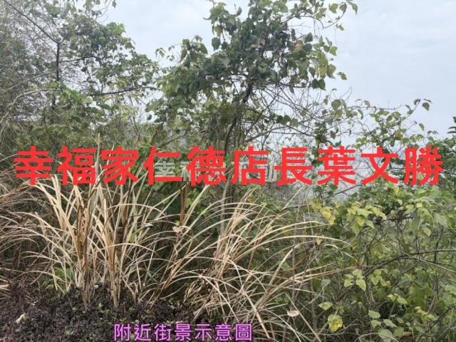 台南白河農地-7