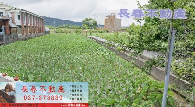 8F517西湖正八米路美農地