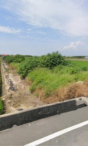 新港農地法拍-6