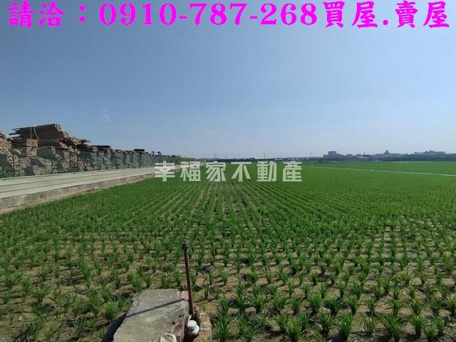 台南農地-10