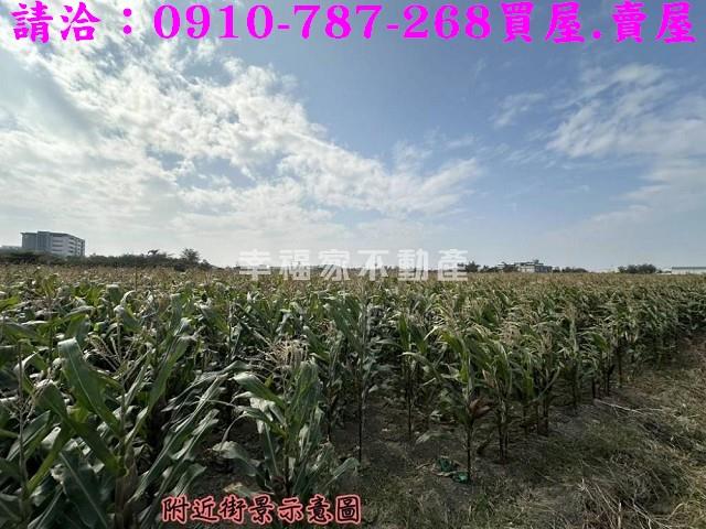 台南西港農地-11