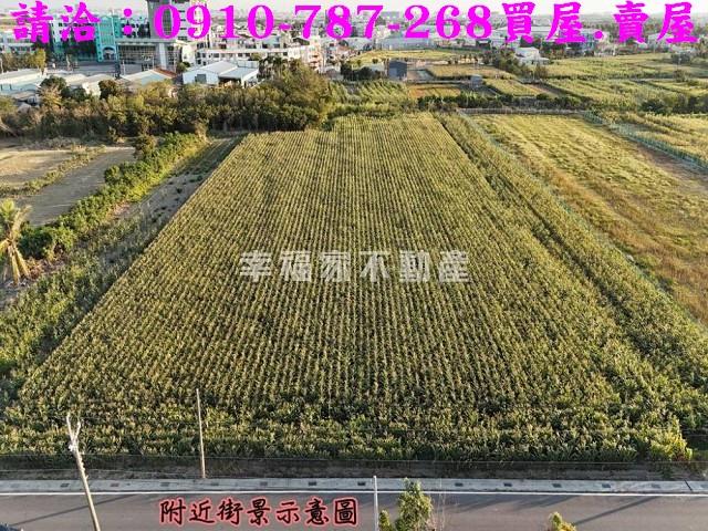 台南西港農地-2