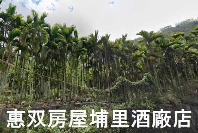 南投魚池農地-1