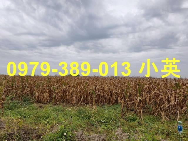 台南鹽水農地-5