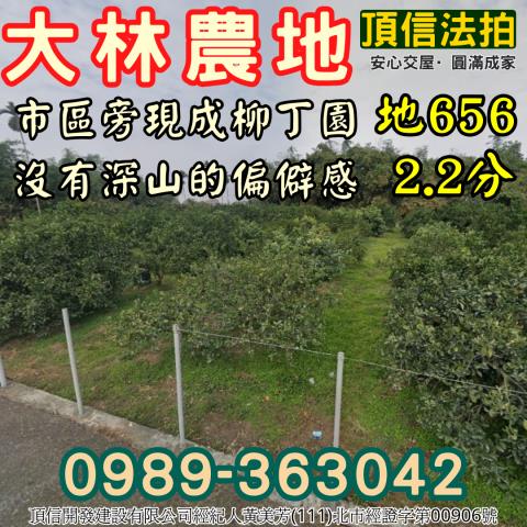 大林法拍農地-1