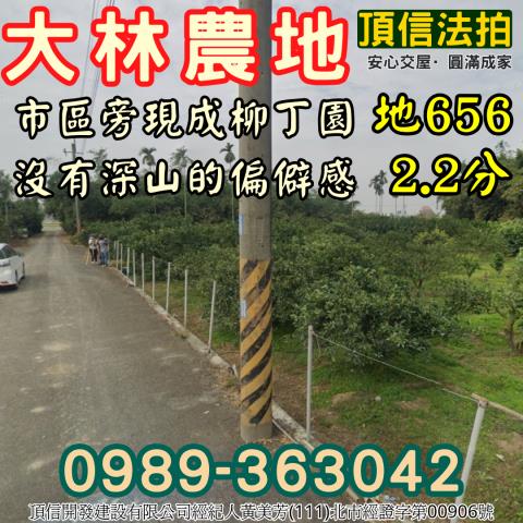 大林法拍農地-3