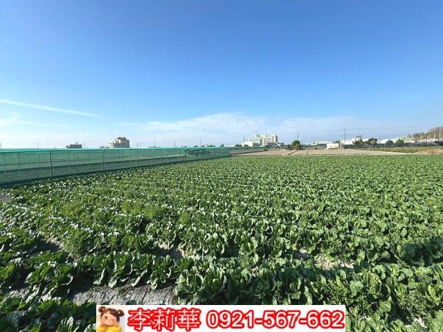 西螺農地-5