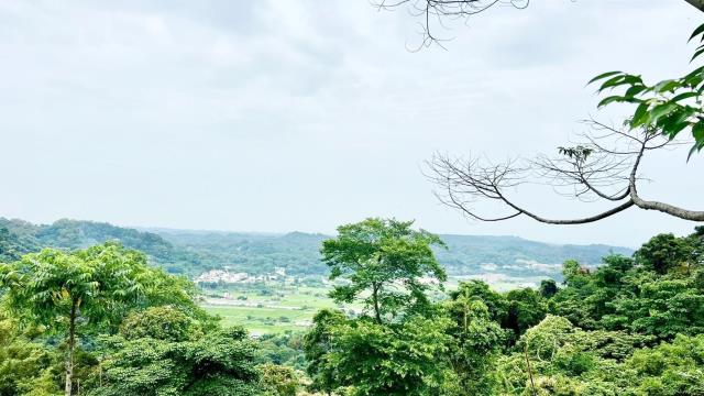 新竹農地-14