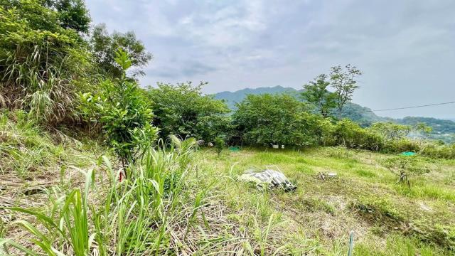 新竹農地-6