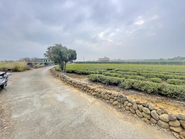 南投名間農地-0