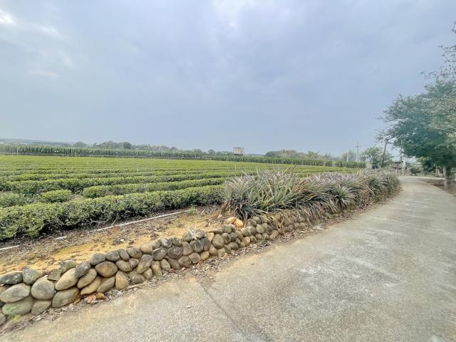 南投名間農地-1