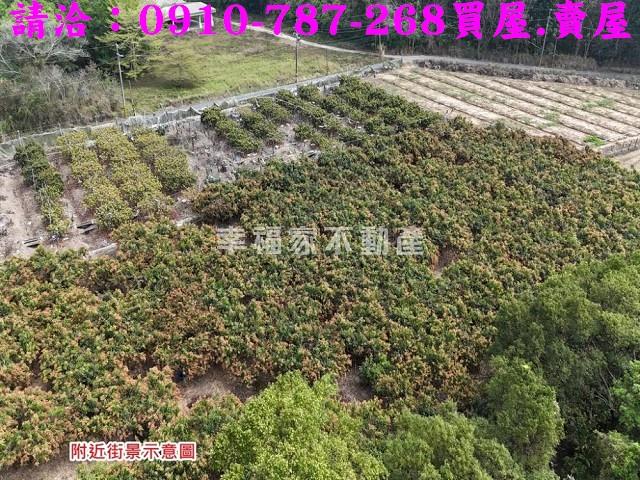 台南官田農地-8