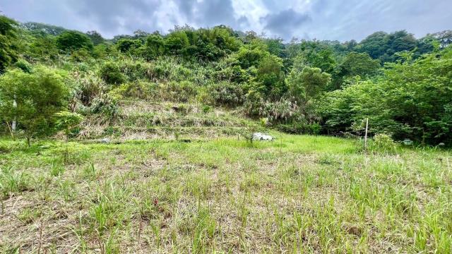 新竹橫山農地-9