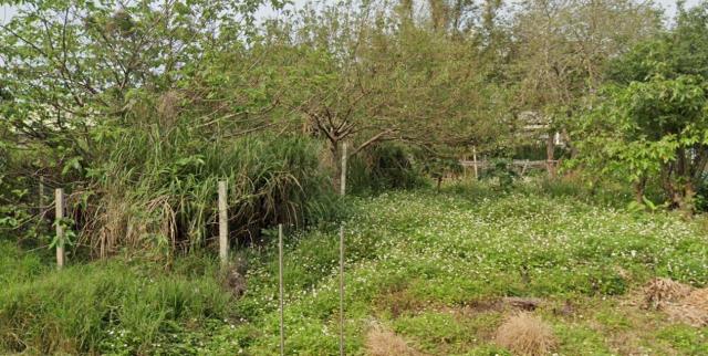 桃園新屋建地-1