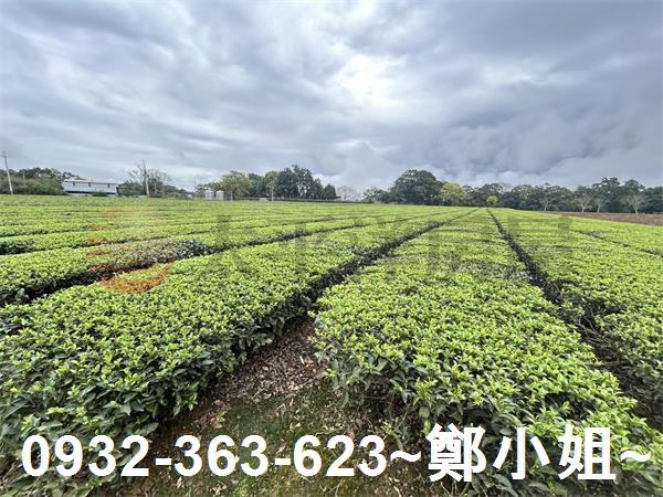 桃園龍潭農地-0