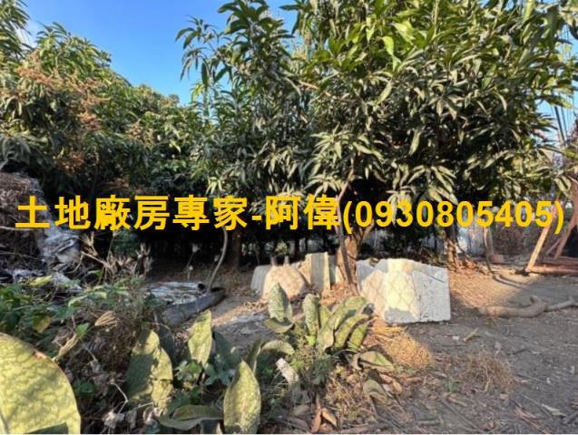 高雄農地-0