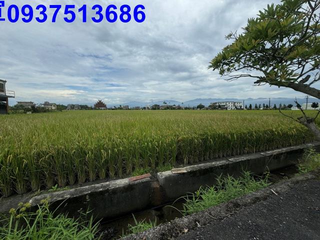 宜蘭壯圍農地-0