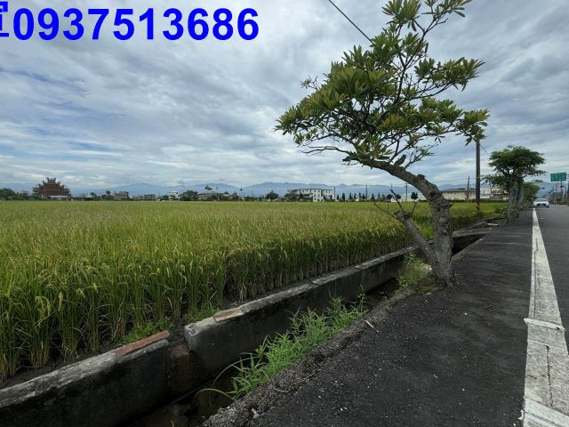 宜蘭壯圍農地-1