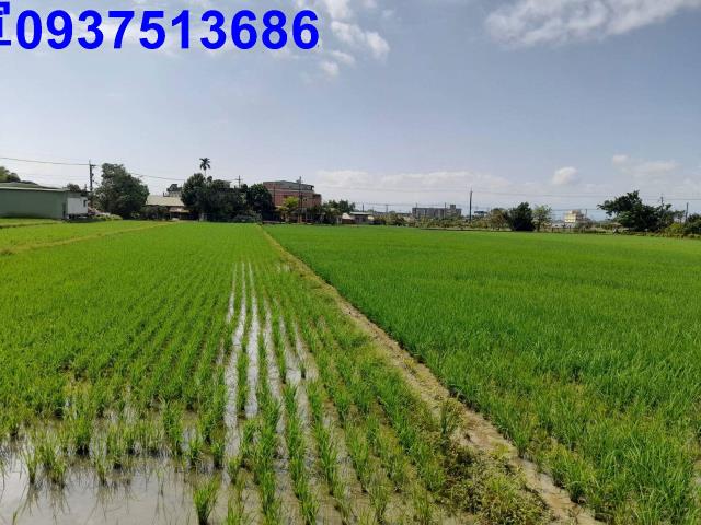 宜蘭壯圍農地-2