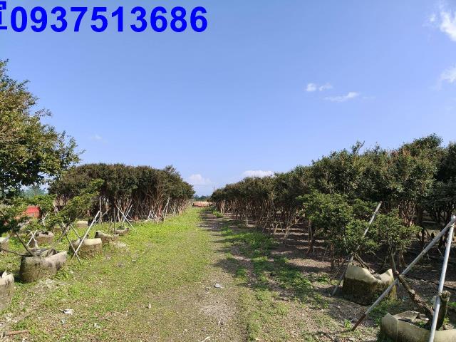 宜蘭礁溪農地-0