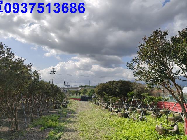 宜蘭礁溪農地-7