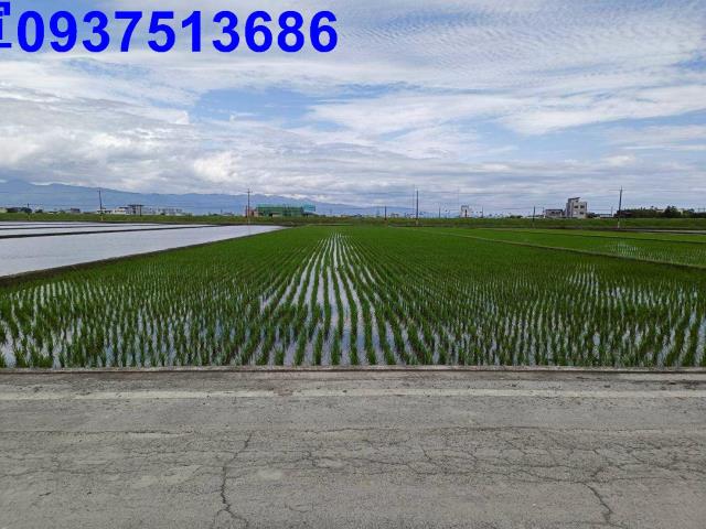 宜蘭壯圍農地-10