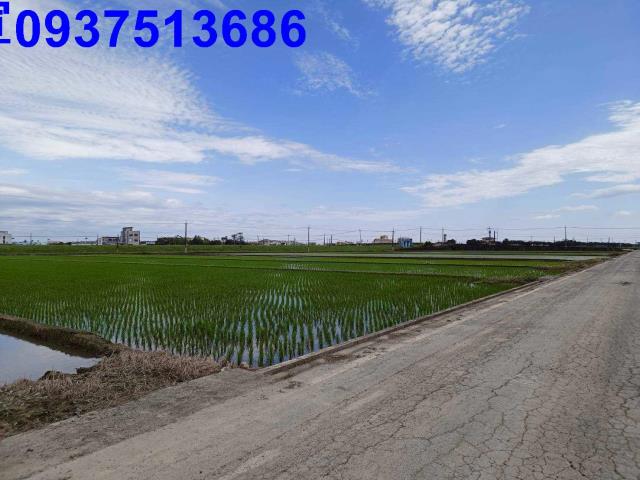 宜蘭壯圍農地-1