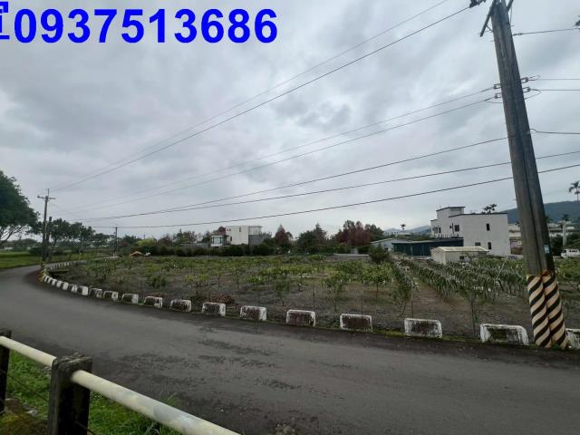 宜蘭礁溪農地-1