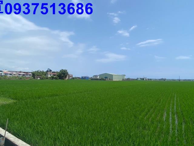 宜蘭壯圍農地-6