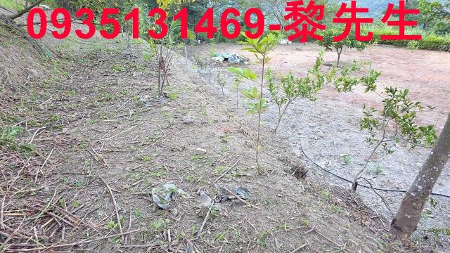 新竹土地橫山土地