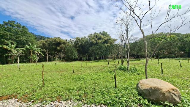 新竹農地-6