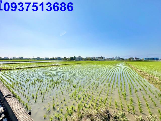 宜蘭宜蘭市農地-2