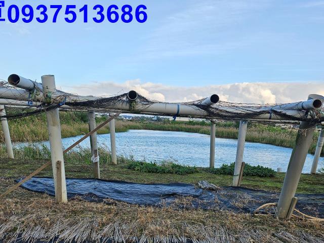 宜蘭壯圍農地-12