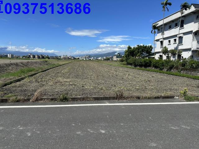 宜蘭礁溪農地-3