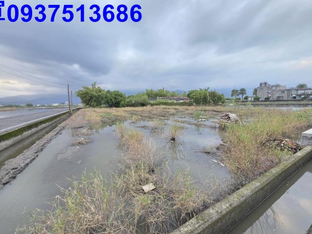 宜蘭礁溪農地-0