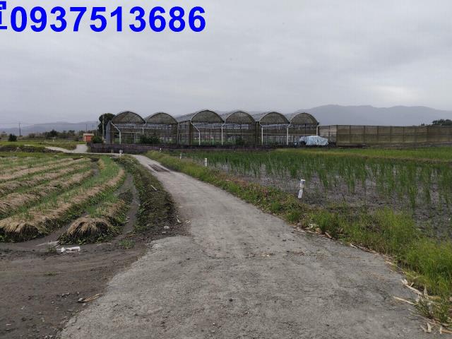 宜蘭三星農地-6