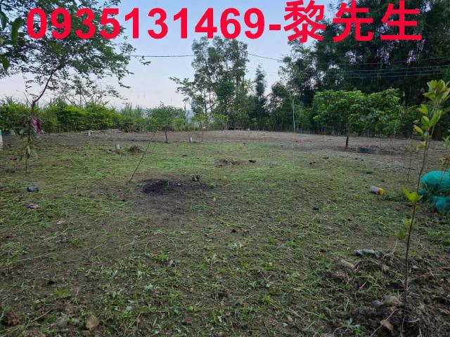 新竹橫山農地-11