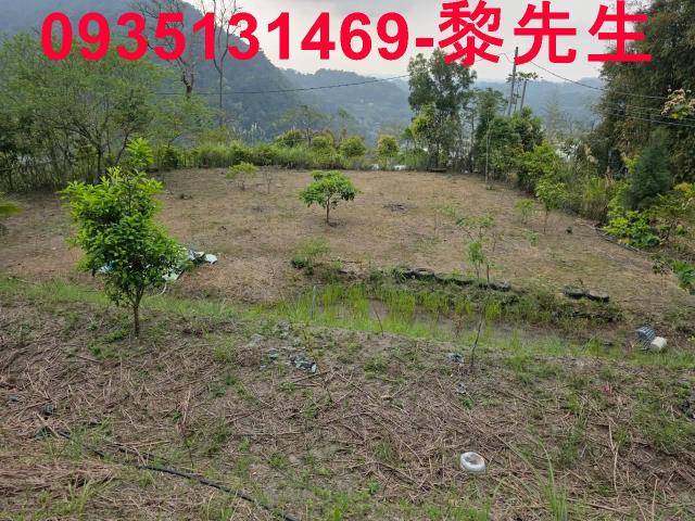 新竹橫山農地-13