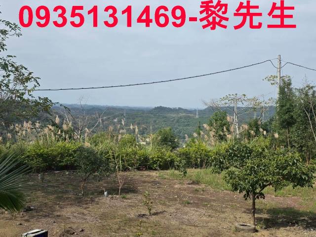 新竹橫山農地-2