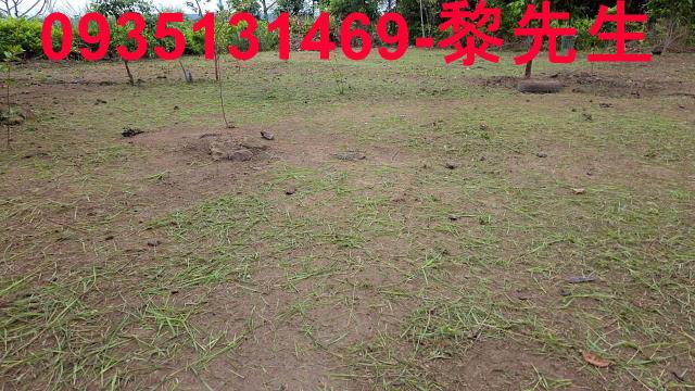 新竹橫山農地-5