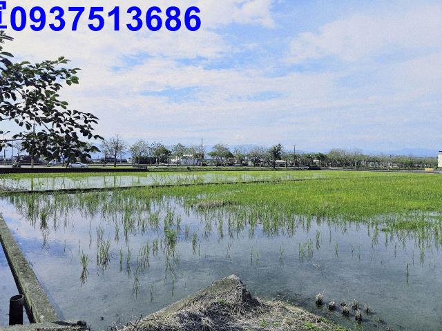 宜蘭壯圍農地-3