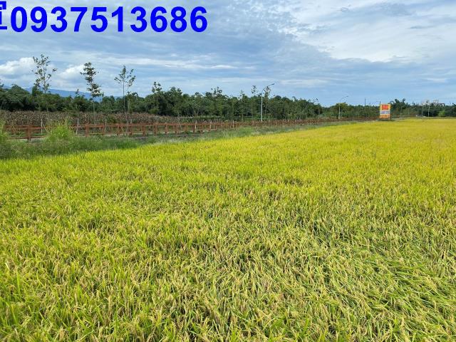 宜蘭宜蘭市農地-1