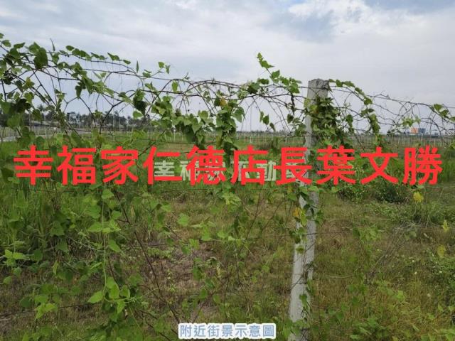 安南建地-6